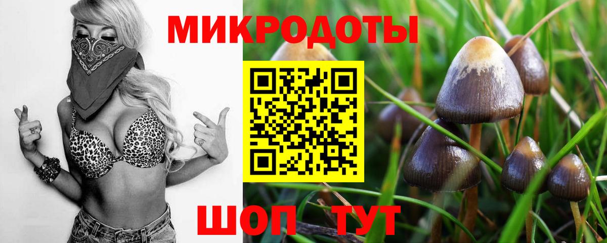 Майкоп  магазин продажи наркотиков  Вход с VPN  Псилоцибиновые грибы мицелий 