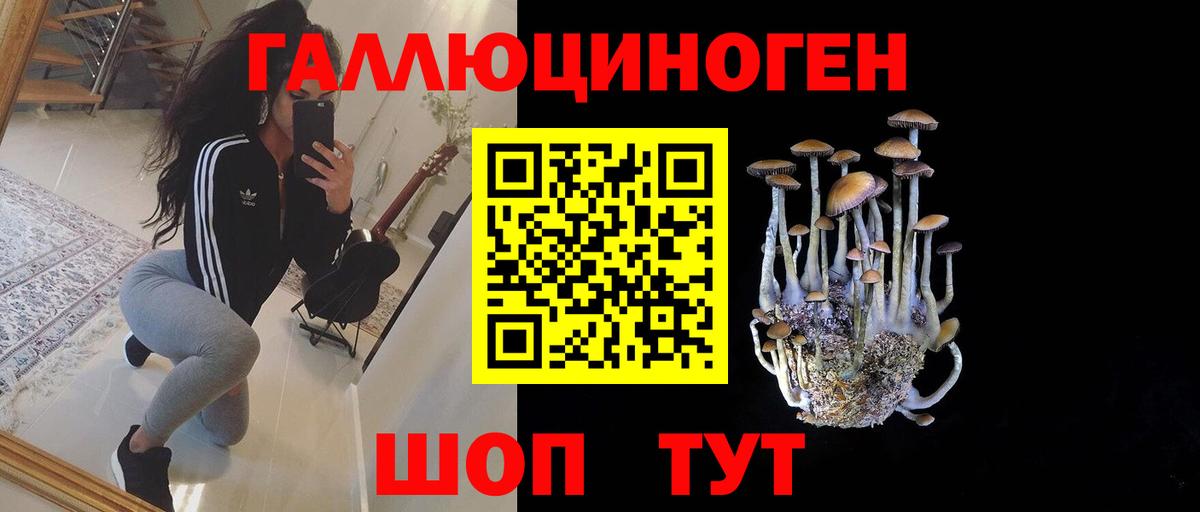 Галлюциногенные грибы ЛСД Майкоп